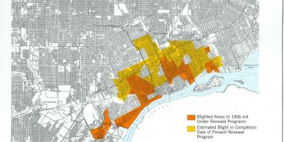 Map of Detroit blight